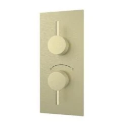 Maidstone Maidstone - Thermostatic Valve - 2 Round Handles
