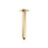 Isenberg Isenberg - Ceiling Mount Shower Arm - 8 Inch 1 Isenberg Isenberg - Ceiling Mount Shower Arm - 8 Inch -Plumb Tile 160.8CSABB