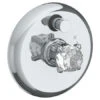 Watermark Watermark - La Fleur Wall Mounted Pressure Balance Shower Trim With Diverter, 7 Inch Dia. -Plumb Tile 201 P90 R2 624