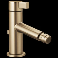 Brizo Brizo - Litze Single-Handle Bidet Faucet -Plumb Tile 68135 GL B1