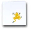 Ceramic Tile Trends - Critters / Frogs -Plumb Tile FG04