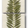 Ceramic Tile Trends - Greenery (set Of 2 Pieces) -Plumb Tile GRE08