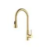 Isenberg Isenberg - Zest - Dual Spray Stainless Steel Kitchen Faucet With Pull Out -Plumb Tile K.1290BG