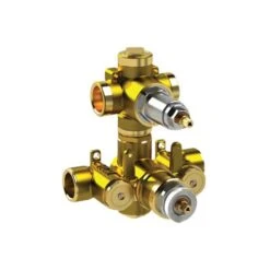 Isenberg Isenberg - 3/4 Inch Thermostatic Valve - 2 Outputs - Rough Brass
