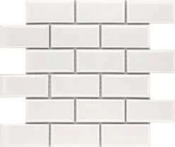 Roca Tile - 2 X 4 Brick Beveled 12 X 12 MosaicMax