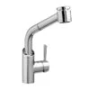 DXV DXV - Fresno Pull Out Faucet - Polished Chrome