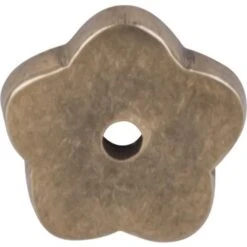 Top Knobs - Aspen Flower Backplate - Light Bronze